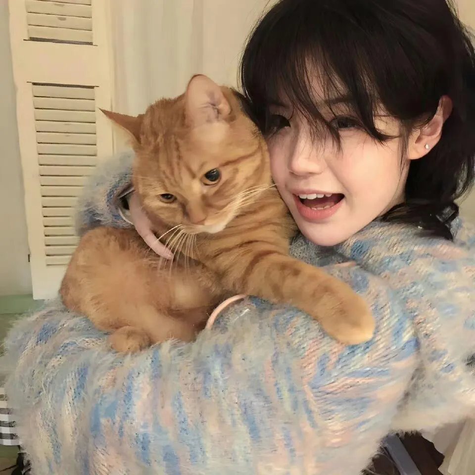 神枪手与咖喱鸡